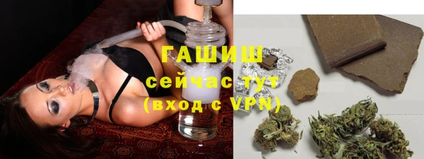 гашик Арсеньев