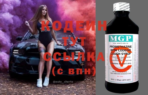 гашик Арсеньев