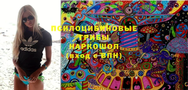 соль ск Аркадак