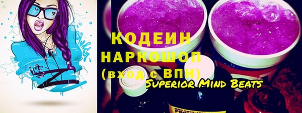 гашик Арсеньев