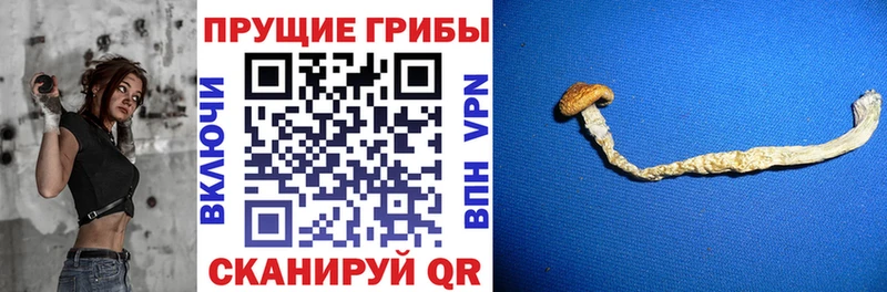 Галлюциногенные грибы ЛСД  Пересвет 