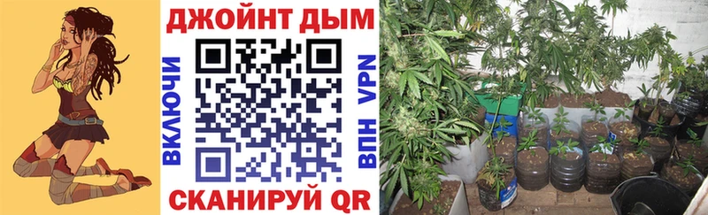 Канабис VHQ Пересвет